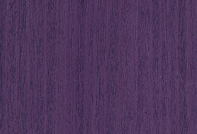 Trendy Purple T164