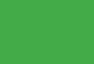 Fluorescent Green 605