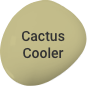 Lucky Colour Cactus Cooler