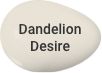 Lucky Colour Dandelion Desire