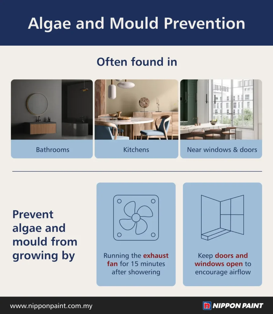 Infographic on algae and mould prevention highlighting common areas like bathrooms, kitchens, and near windows and doors. It includes tips such as running an exhaust fan for 15 minutes after showering and keeping doors and windows open to improve airflow, featuring Nippon Paint branding.