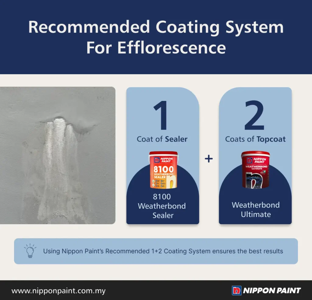 Alt text: Infographic illustrating the recommended coating system for efflorescence, featuring one coat of Nippon Paint's 8100 Weatherbond Sealer and two coats of Weatherbond Ultimate topcoat, emphasizing the effectiveness of Nippon Paint's 1+2 coating system for optimal results.
