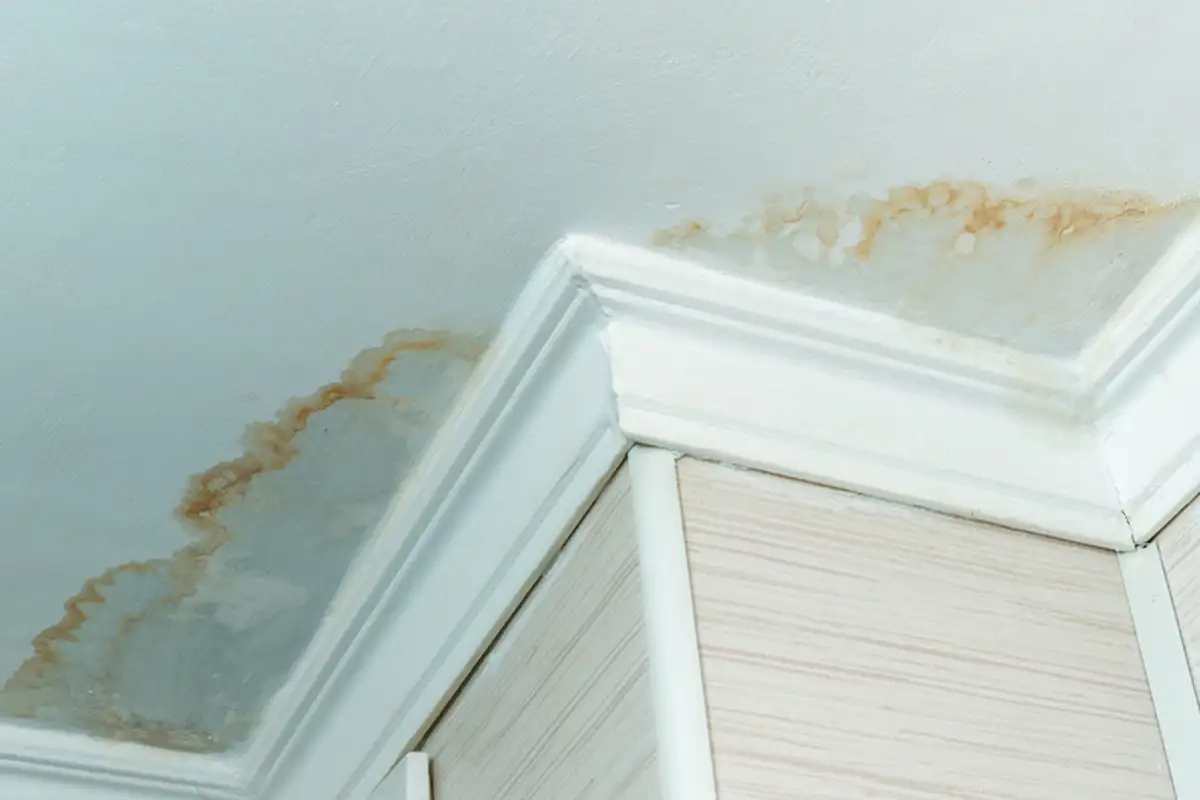 Water stains on white ceiling