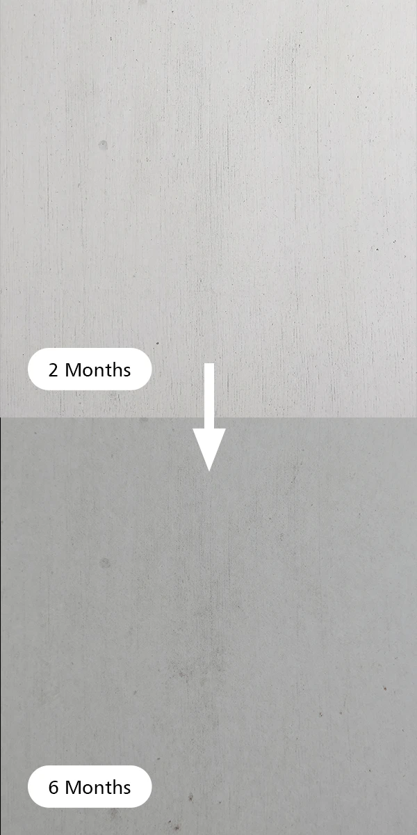 Nippon Paint Weatherbond Ultimate Anti-Dirt 6 months comparison on dirt pick up resistance against Brand X