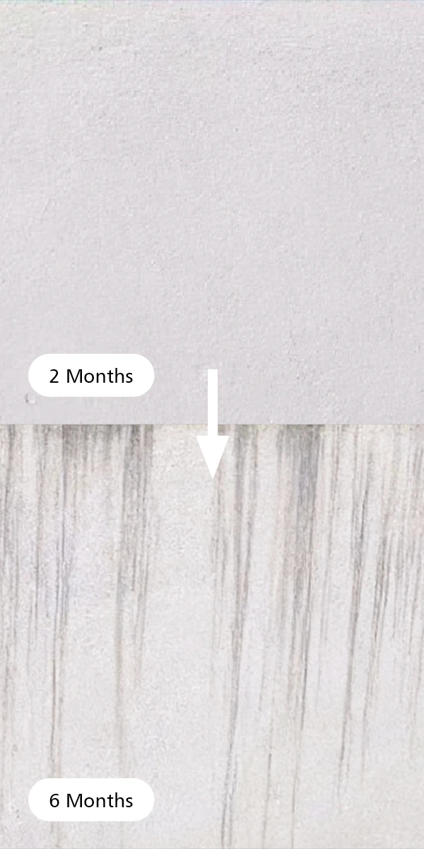 Nippon Paint Weatherbond Ultimate Anti-Dirt 6 months comparison on dirt steak resistance against Brand X