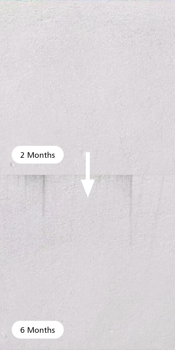 Nippon Paint Weatherbond Ultimate Anti-Dirt 6 months comparison on dirt steak resistance