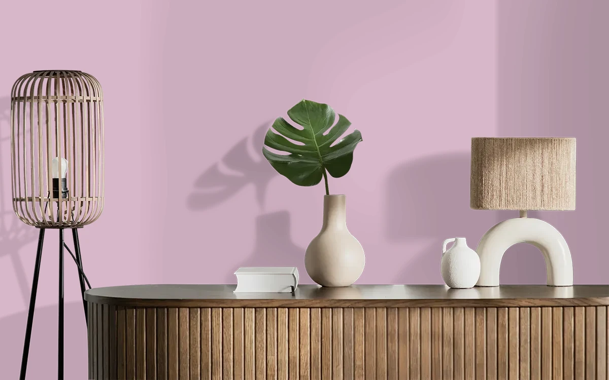 Nippon Paint's ASTER PETAL color on different wall surfaces.