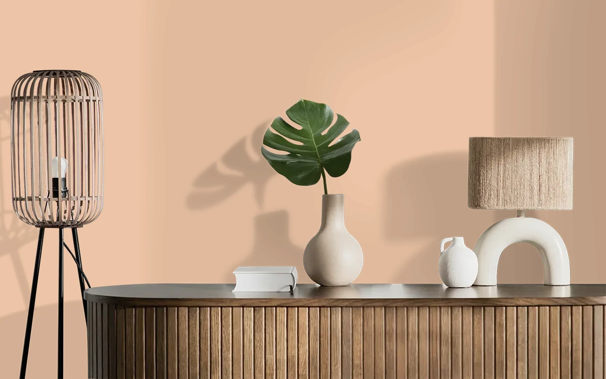 Nippon Paint's BAKED ROLL color on different wall surfaces.