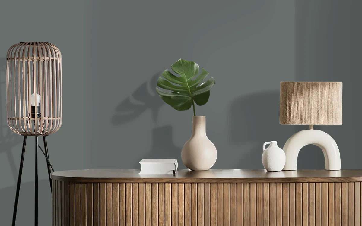 Nippon Paint's BLACK BOX color on different wall surfaces.