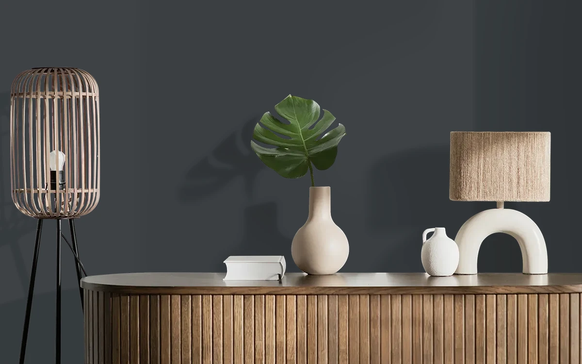 Nippon Paint's BLACK NIGHT color on different wall surfaces.