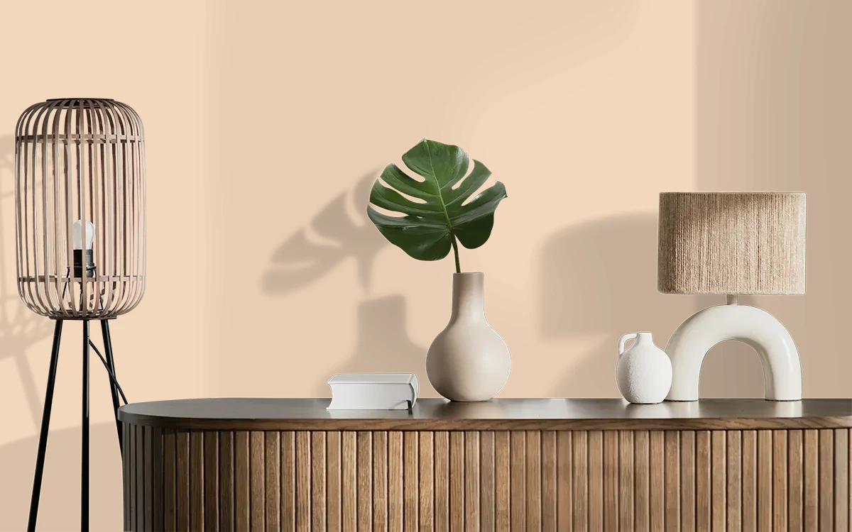 Nippon Paint's BLEACHED WOOD color on different wall surfaces.