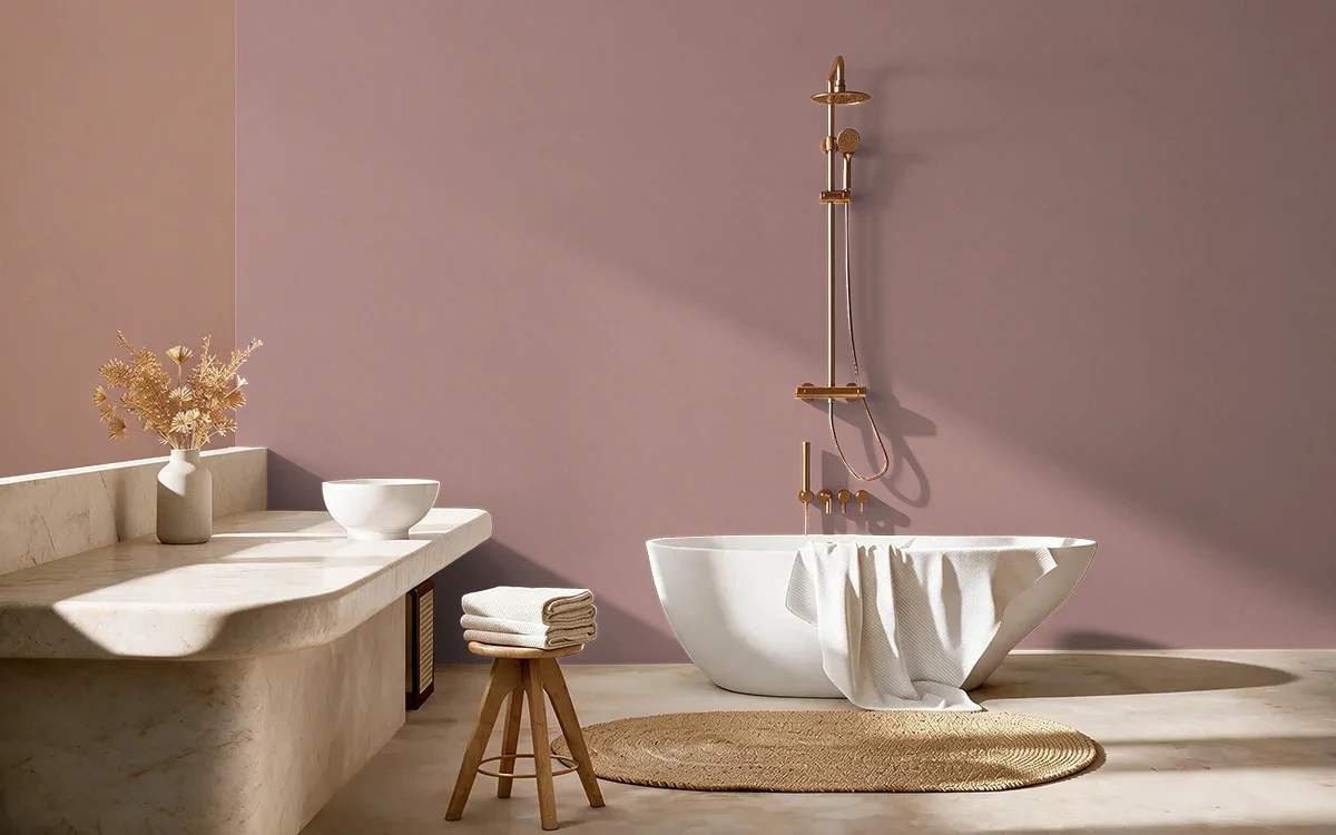 Nippon Paint's BURNT ANISTAR color on different wall surfaces.
