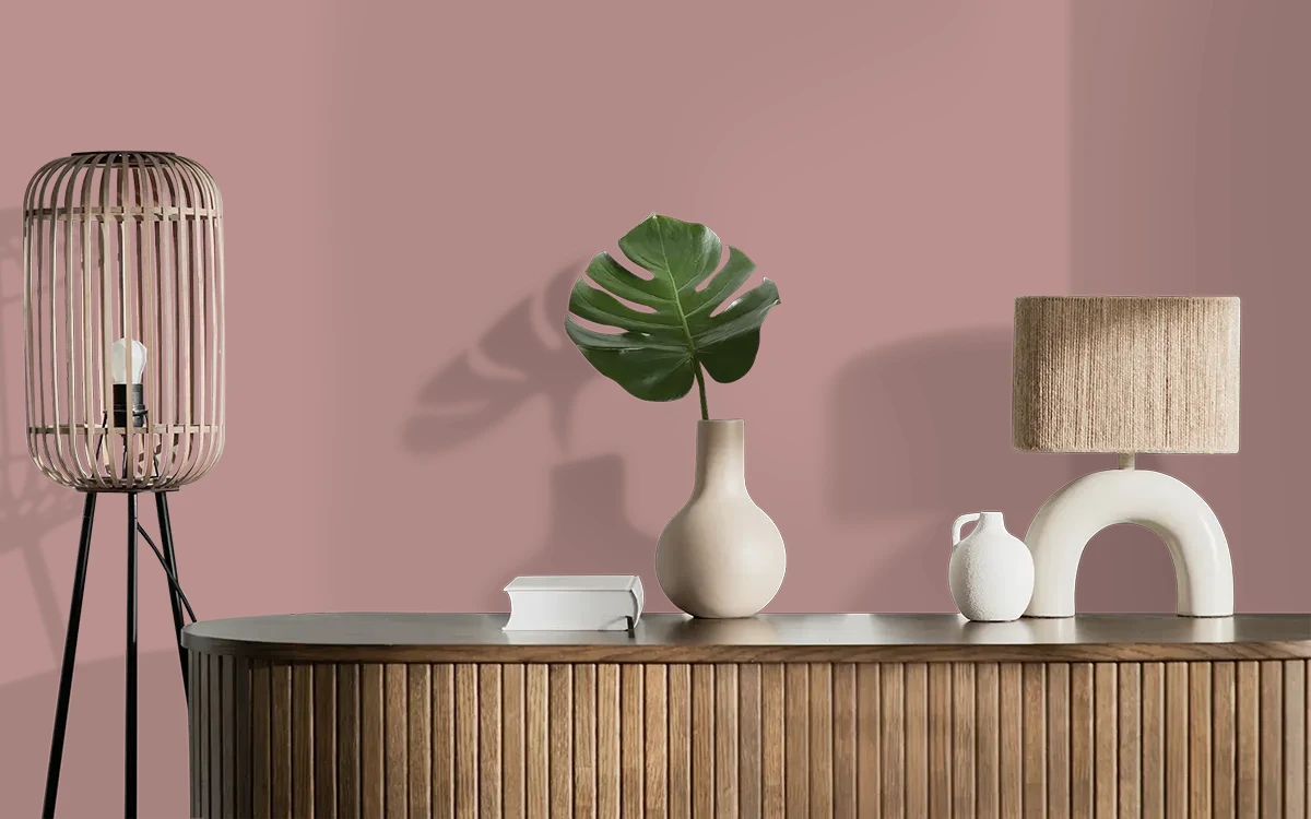 Nippon Paint's BURNT ANISTAR color on different wall surfaces.