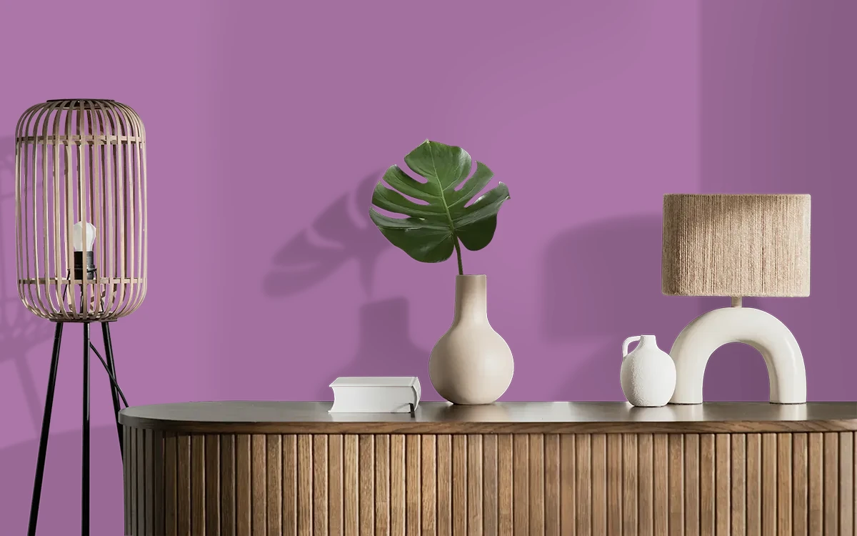 Nippon Paint's CAMP ROCK color on different wall surfaces.