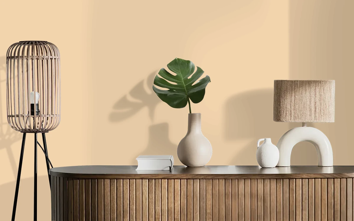 Nippon Paint's CARROT CRUSH color on different wall surfaces.