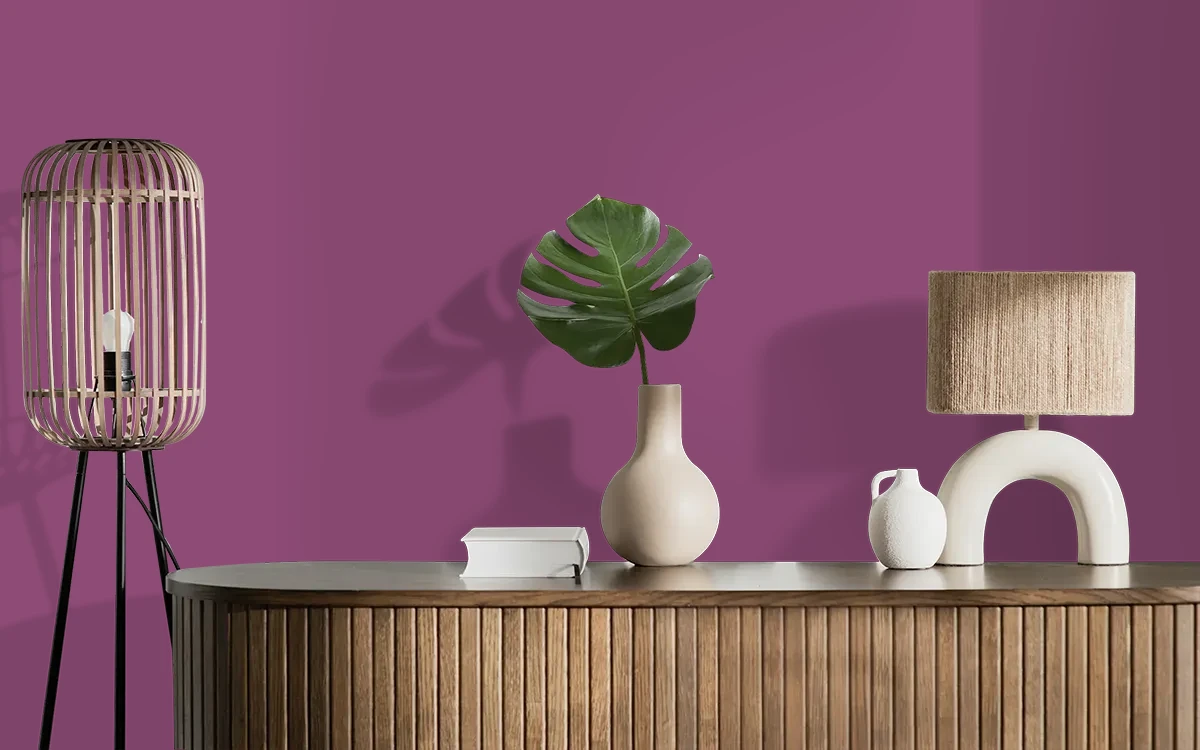 Nippon Paint's CELEBRITY color on different wall surfaces.
