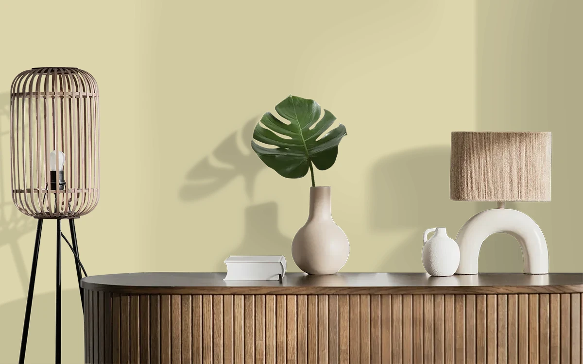 Nippon Paint's CELERY POWDER color on different wall surfaces.
