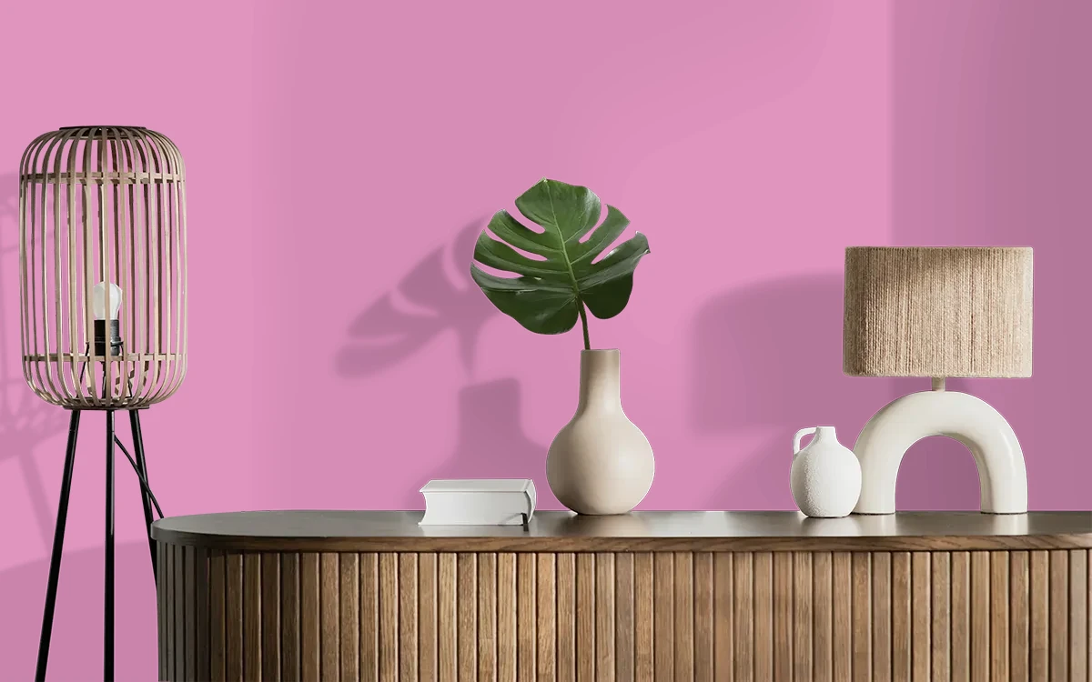 Nippon Paint's CEST' LA VIE color on different wall surfaces.