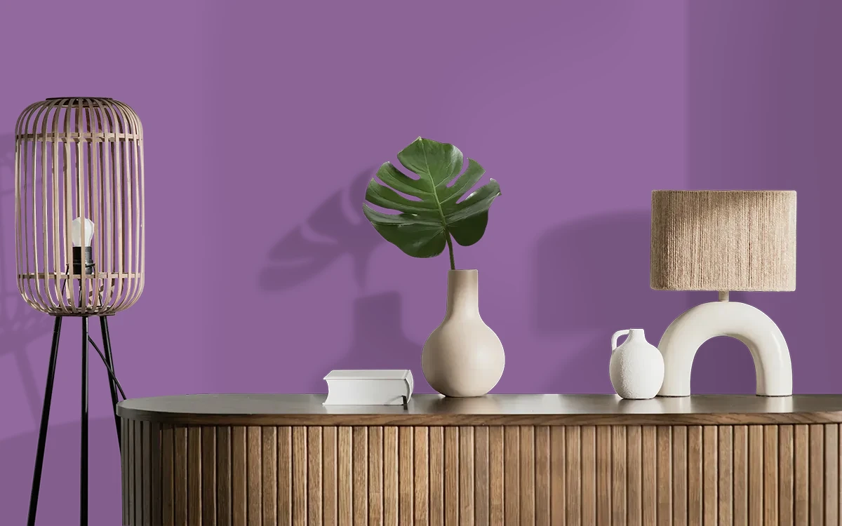 Nippon Paint's CHINA ASTER color on different wall surfaces.