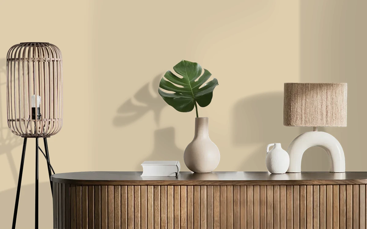 Nippon Paint's CIABATTA color on different wall surfaces.