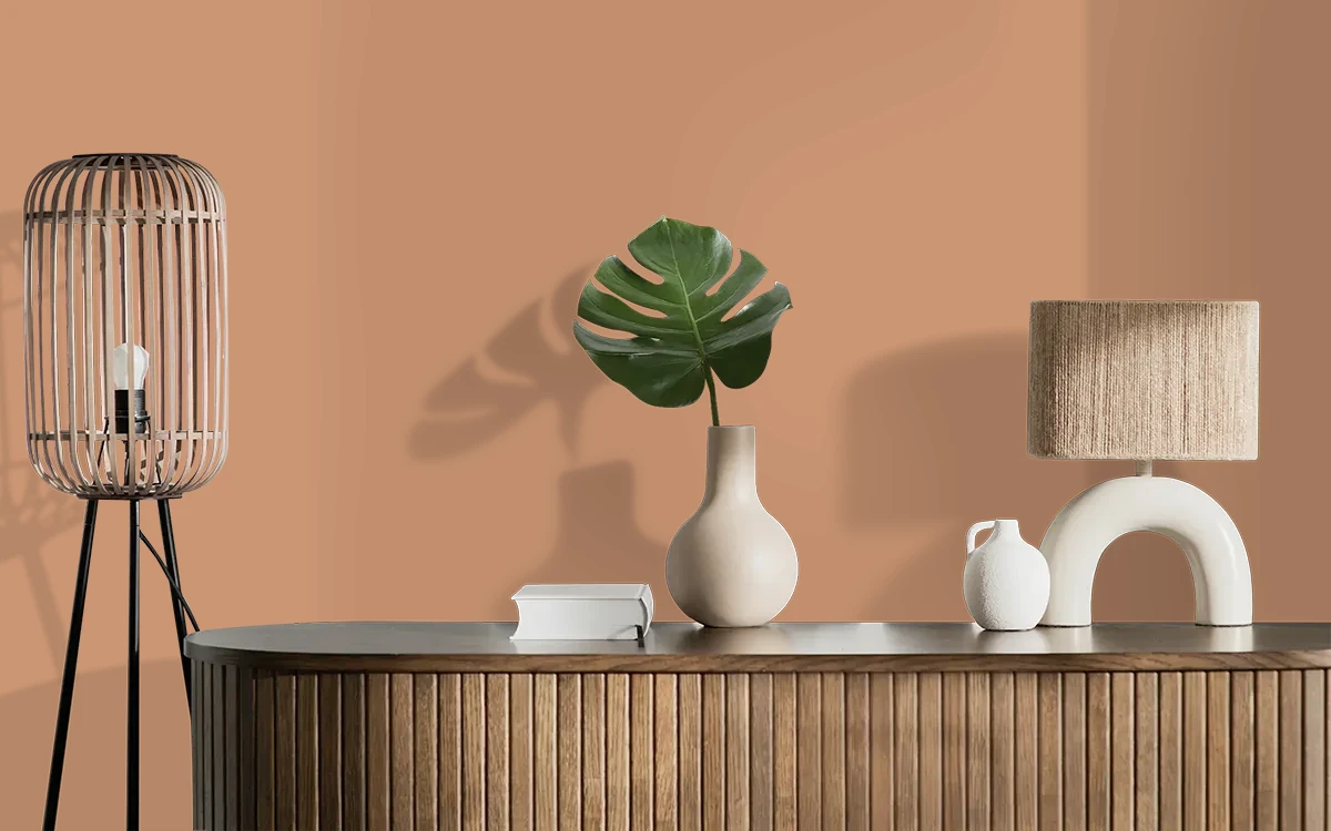 Nippon Paint's COAST OF AFRICA color on different wall surfaces.
