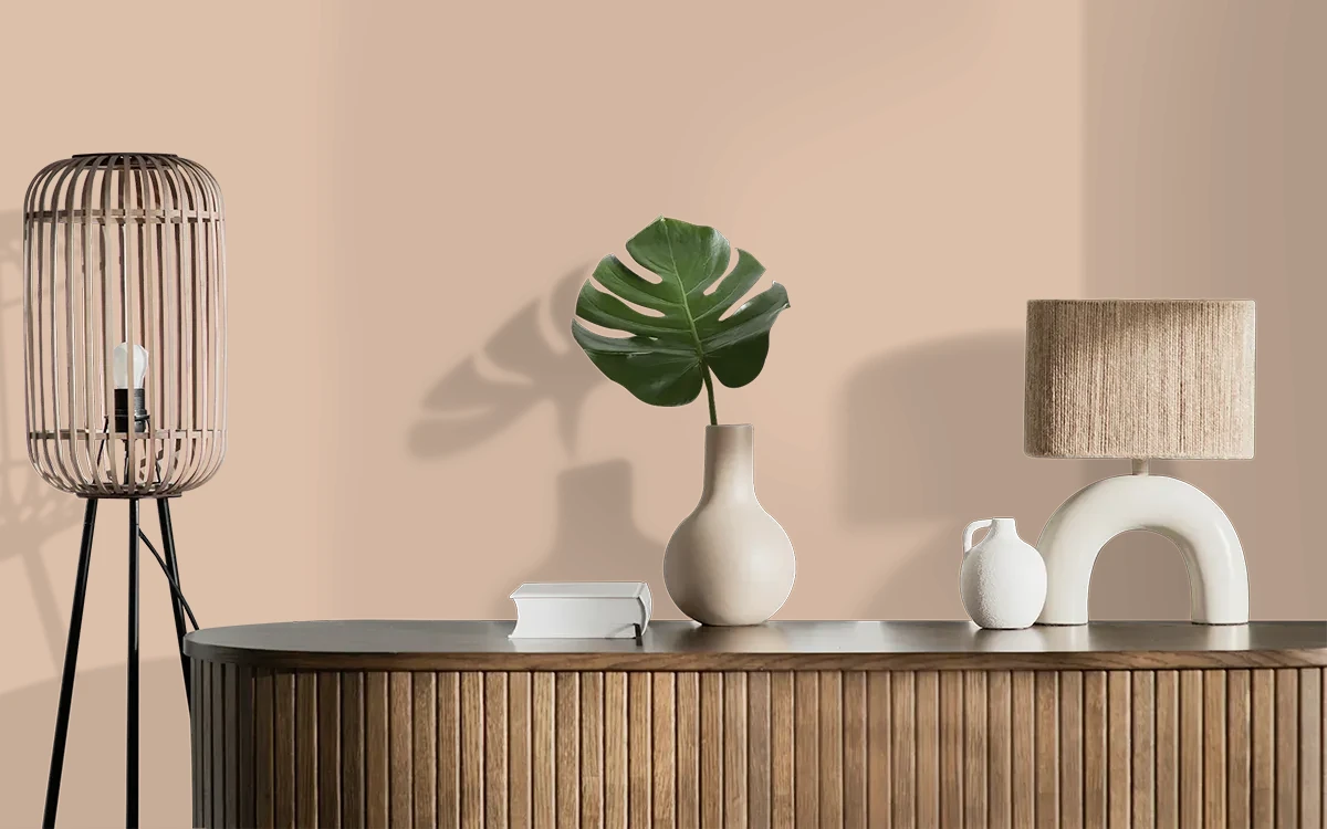 Nippon Paint's COCONUT HUSK color on different wall surfaces.