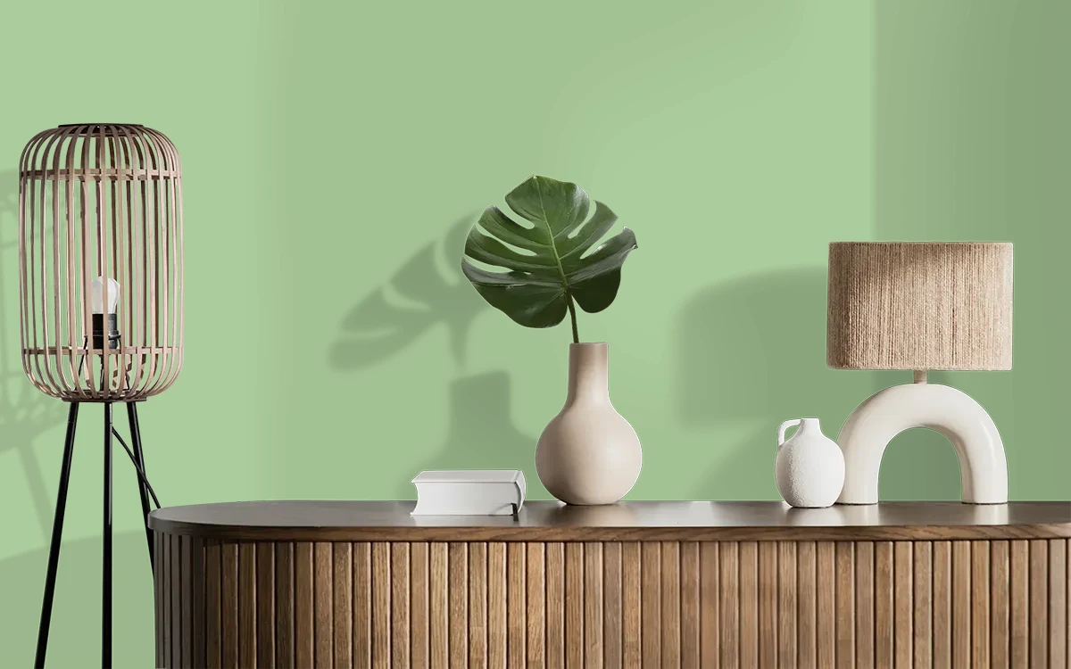 Nippon Paint's COMFORT GREEN color on different wall surfaces.