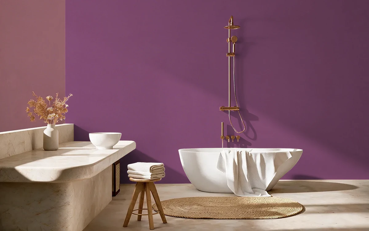 Nippon Paint's CONQUEST color on different wall surfaces.