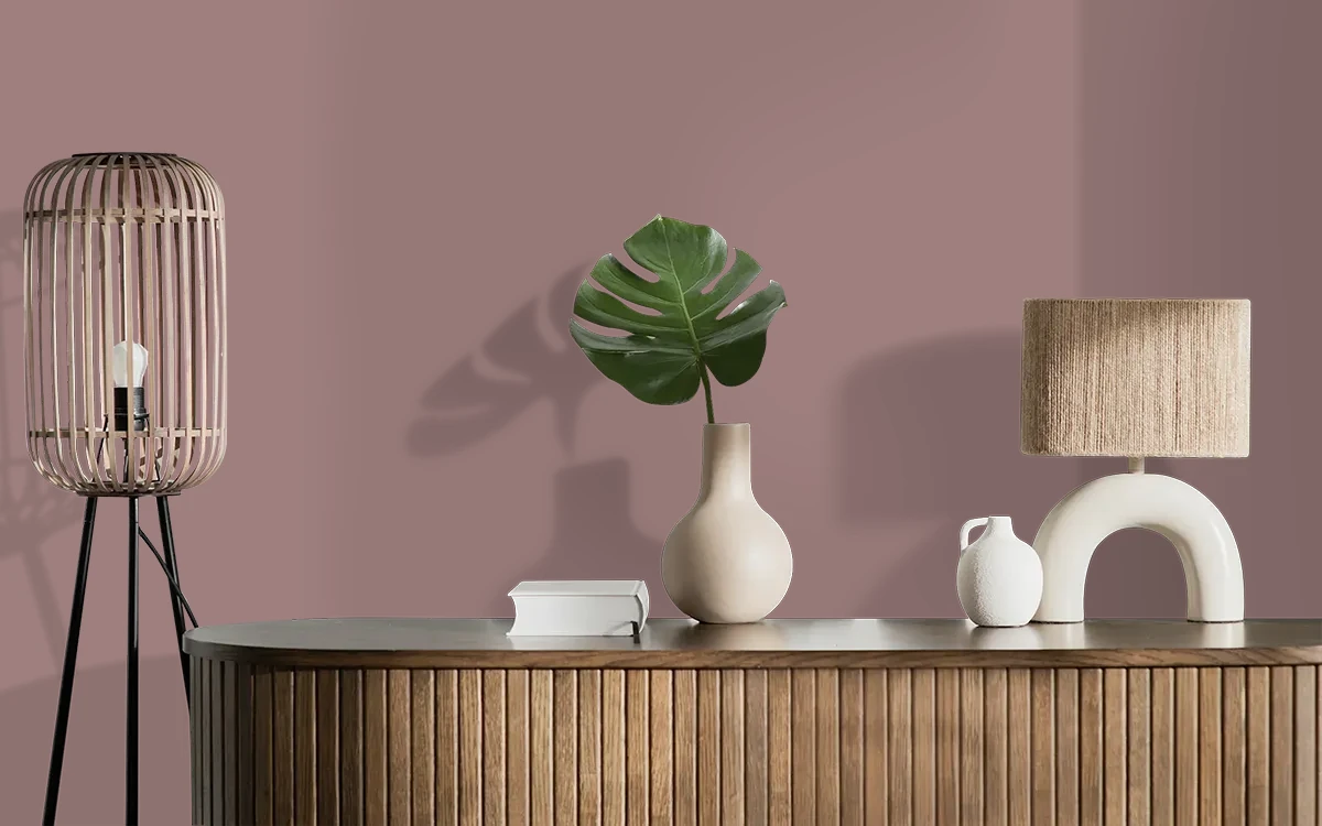 Nippon Paint's COUNTRY JUNCTION color on different wall surfaces.