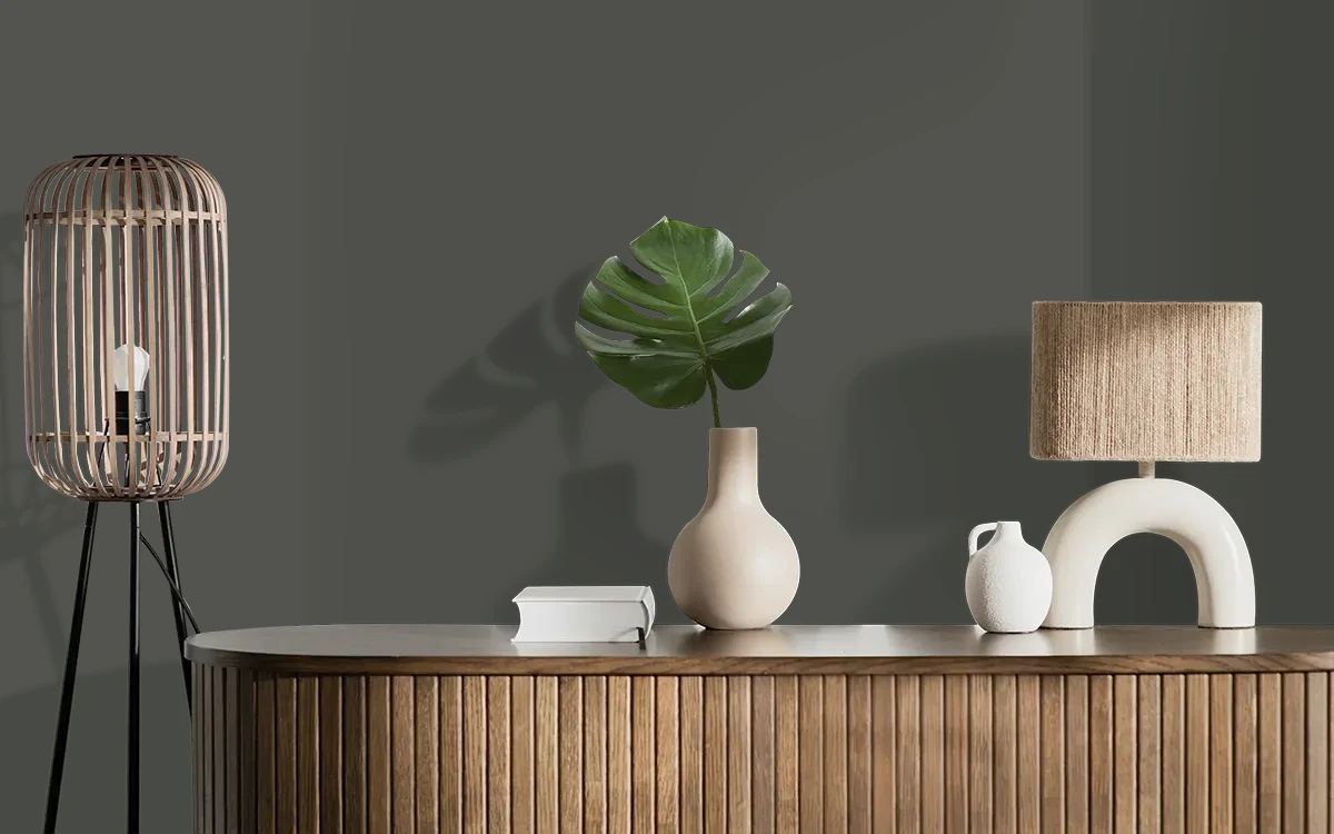 Nippon Paint's CRATER BLACK color on different wall surfaces.