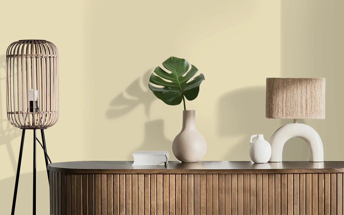 Nippon Paint's CREEK SAND color on different wall surfaces.