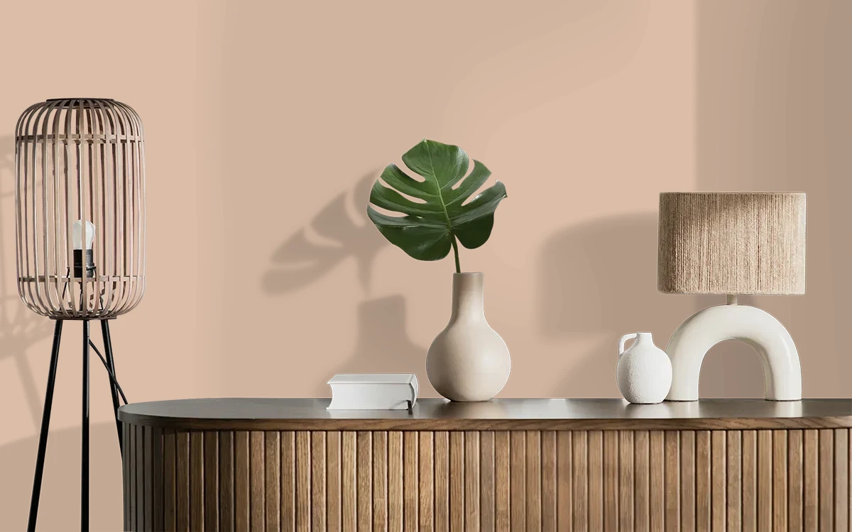 Nippon Paint's CUDDLE CUSHION color on different wall surfaces.
