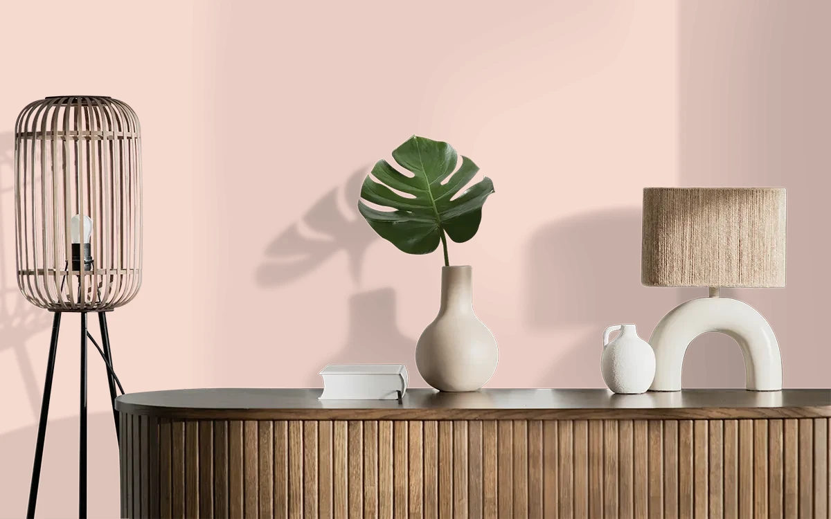 Nippon Paint's DIMPLED SMILE color on different wall surfaces.