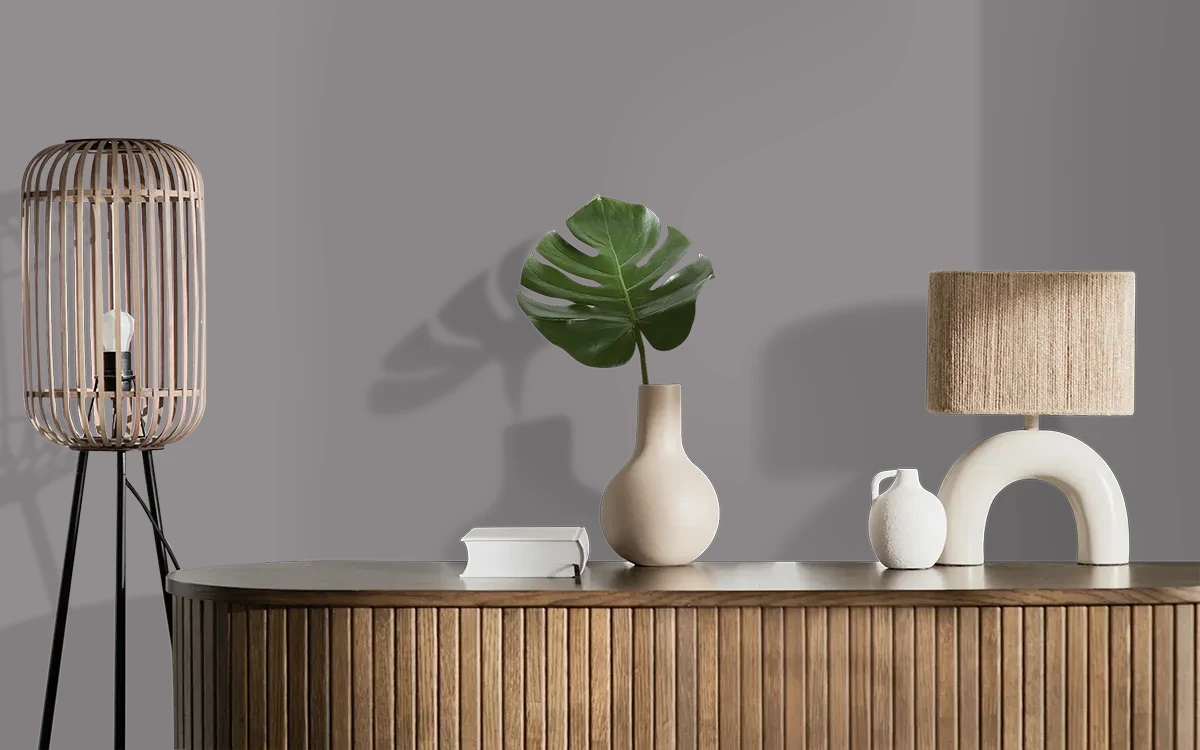 Nippon Paint's ELEPHANT RADIANT color on different wall surfaces.