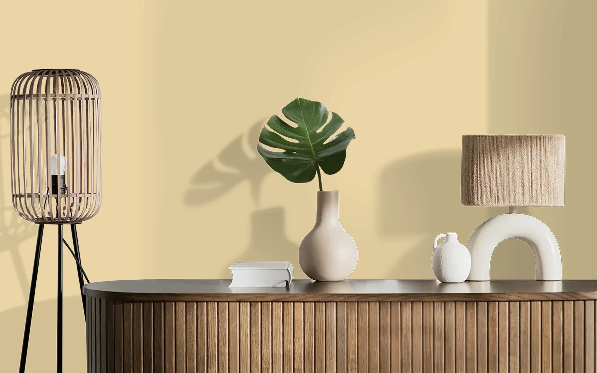 Nippon Paint's FLARE LIGHT color on different wall surfaces.