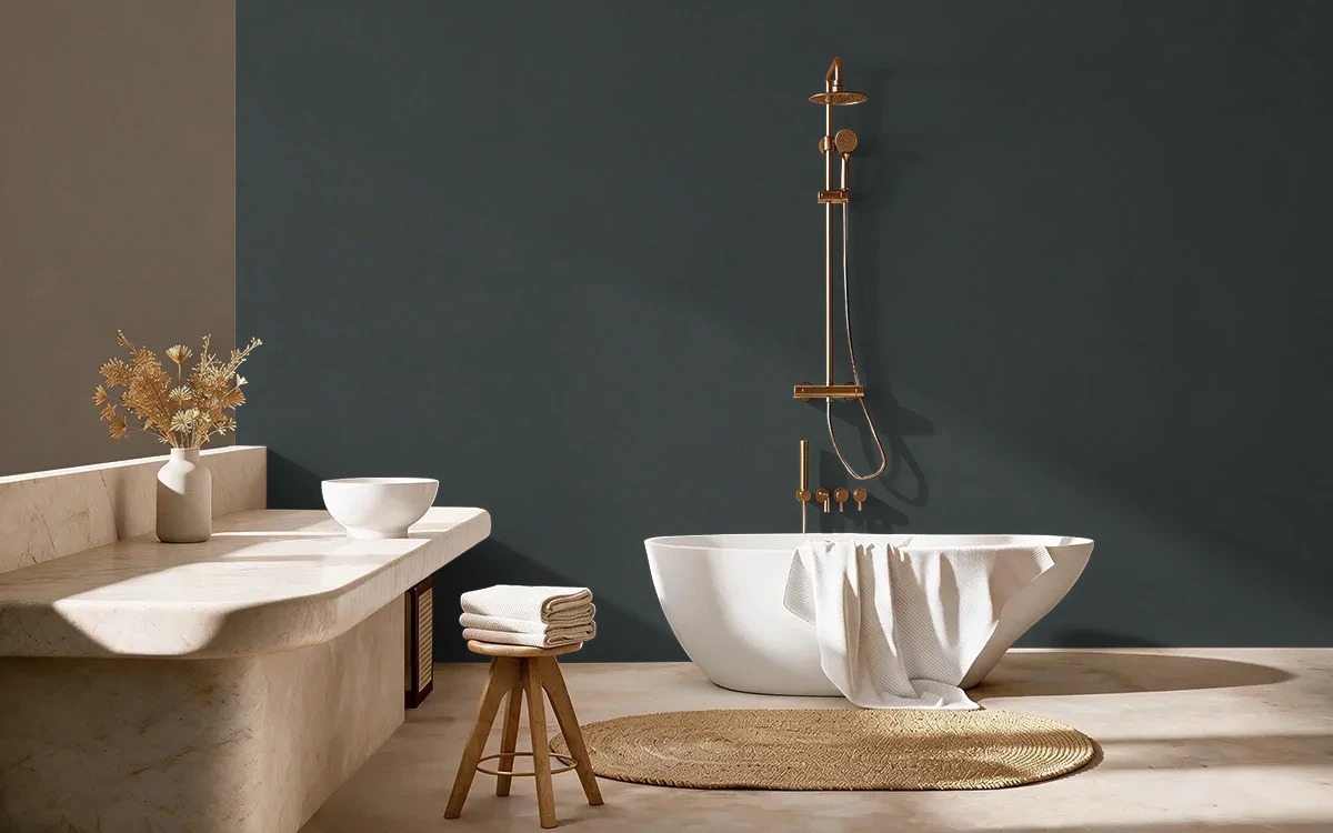 Nippon Paint's FLINT BLACK color on different wall surfaces.