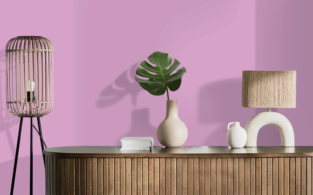 Nippon Paint's FLOWING FROCK color on different wall surfaces.