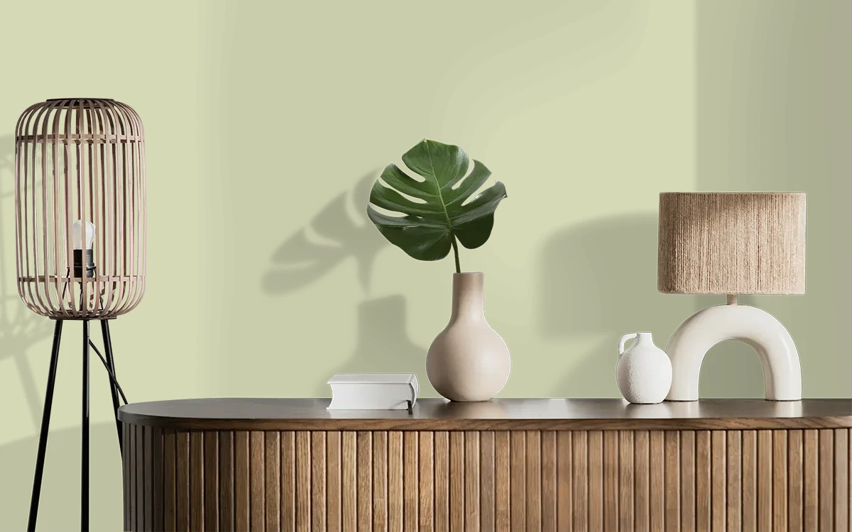 Nippon Paint's FROGGY'S LEAF color on different wall surfaces.