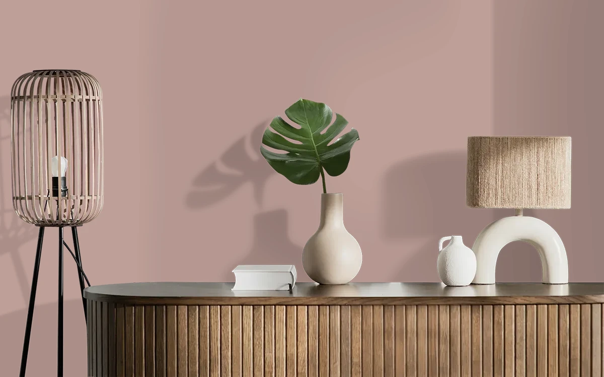 Nippon Paint's FRONTIER SHADOW color on different wall surfaces.