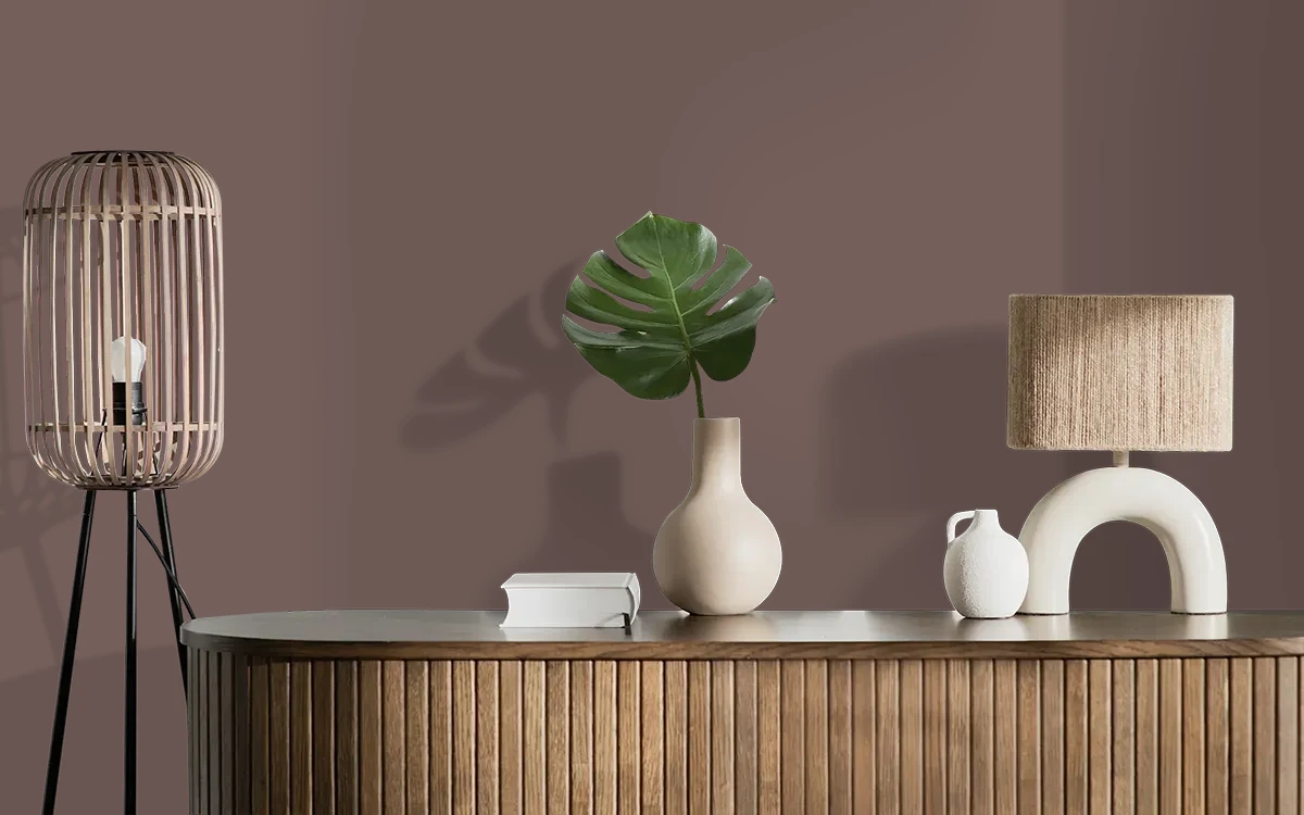 Nippon Paint's GARDEN EARTH color on different wall surfaces.