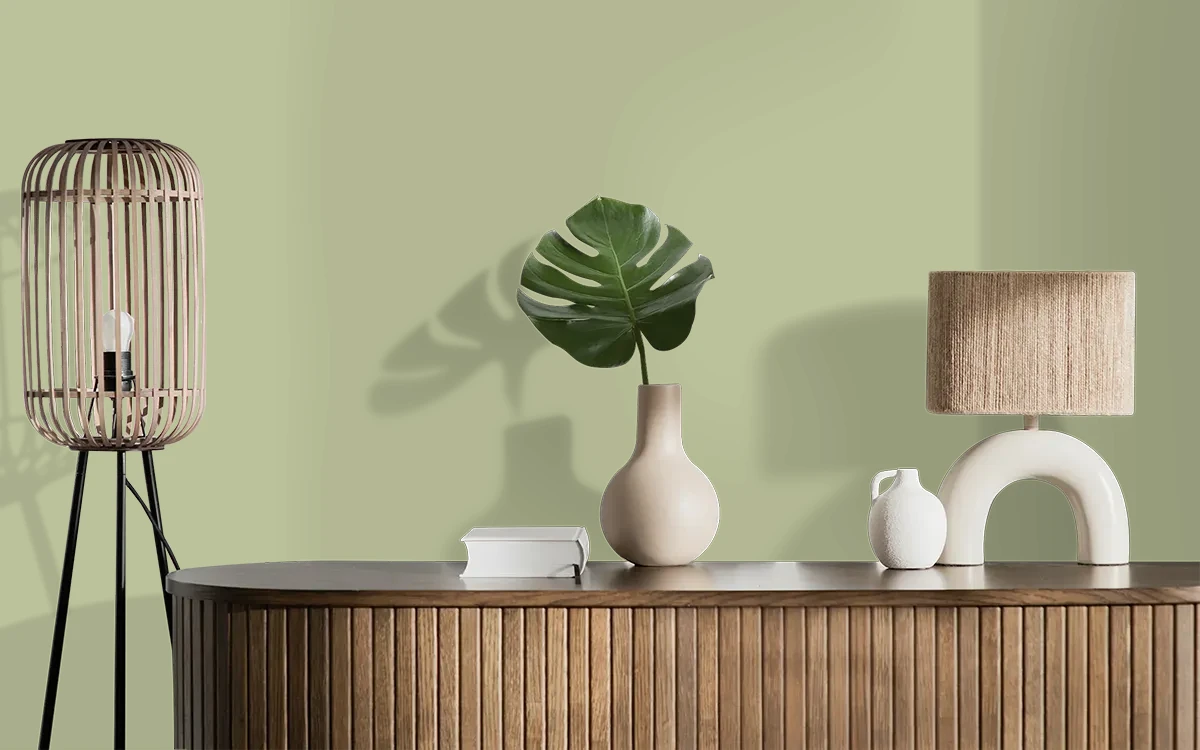 Nippon Paint's GREEN MONTAGE color on different wall surfaces.