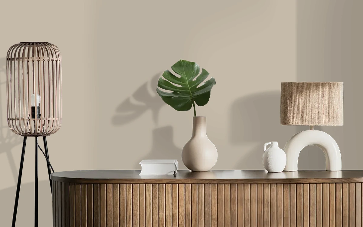 Nippon Paint's HANGING HOOK color on different wall surfaces.