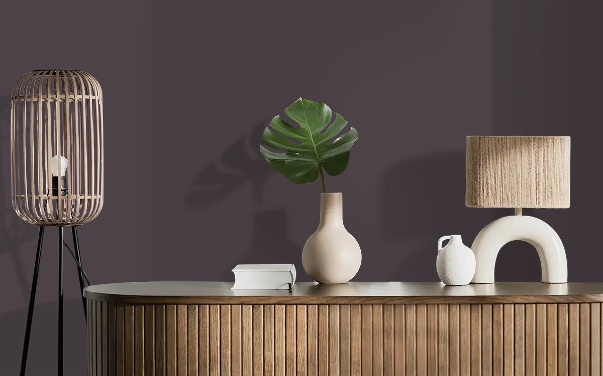 Nippon Paint's MEDIEVAL AGES color on different wall surfaces.