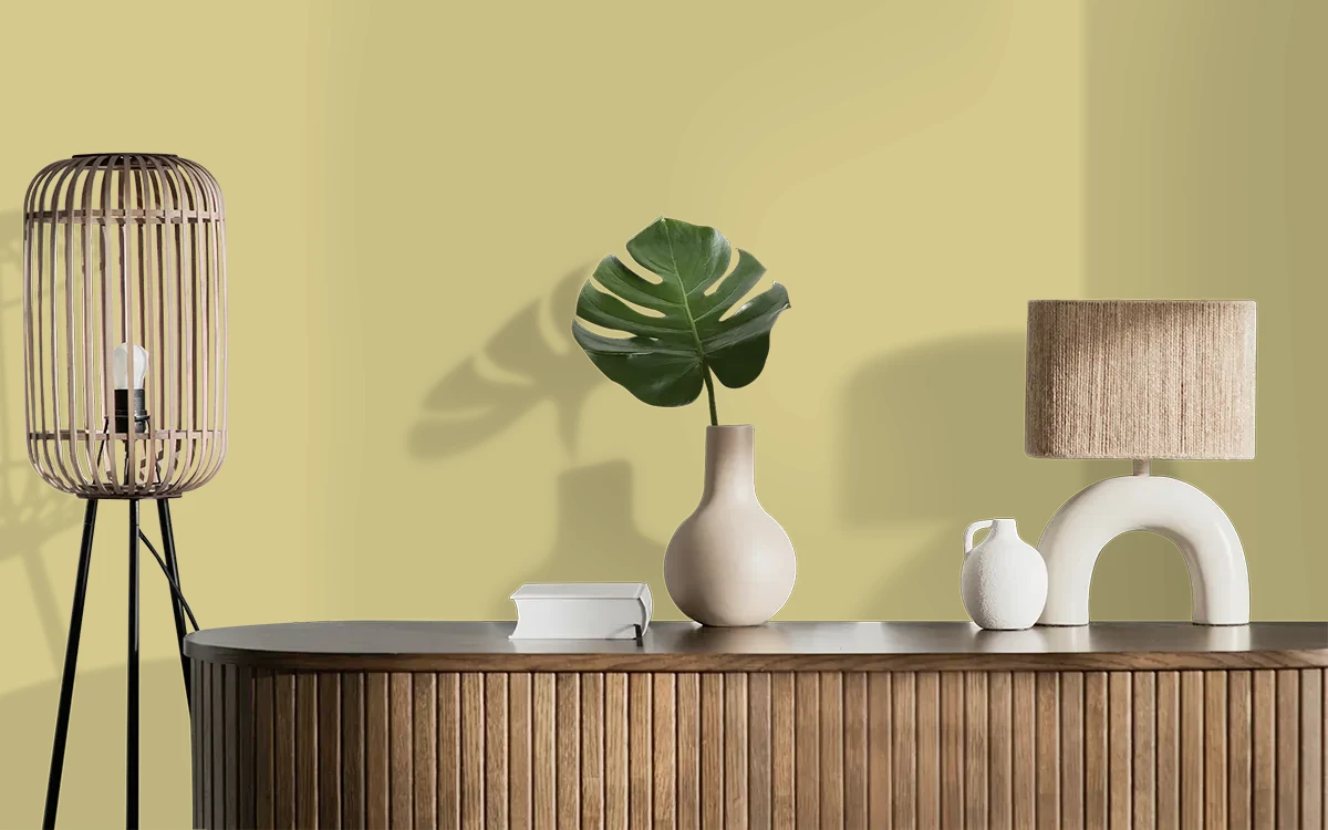 Nippon Paint's MOSS PRINT color on different wall surfaces.