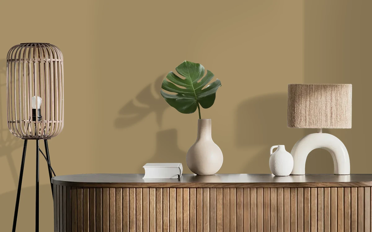 Nippon Paint's NATURAL TOUCH color on different wall surfaces.