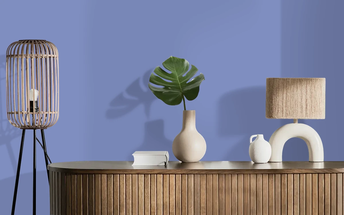 Nippon Paint's NIGARA NIGHTS color on different wall surfaces.