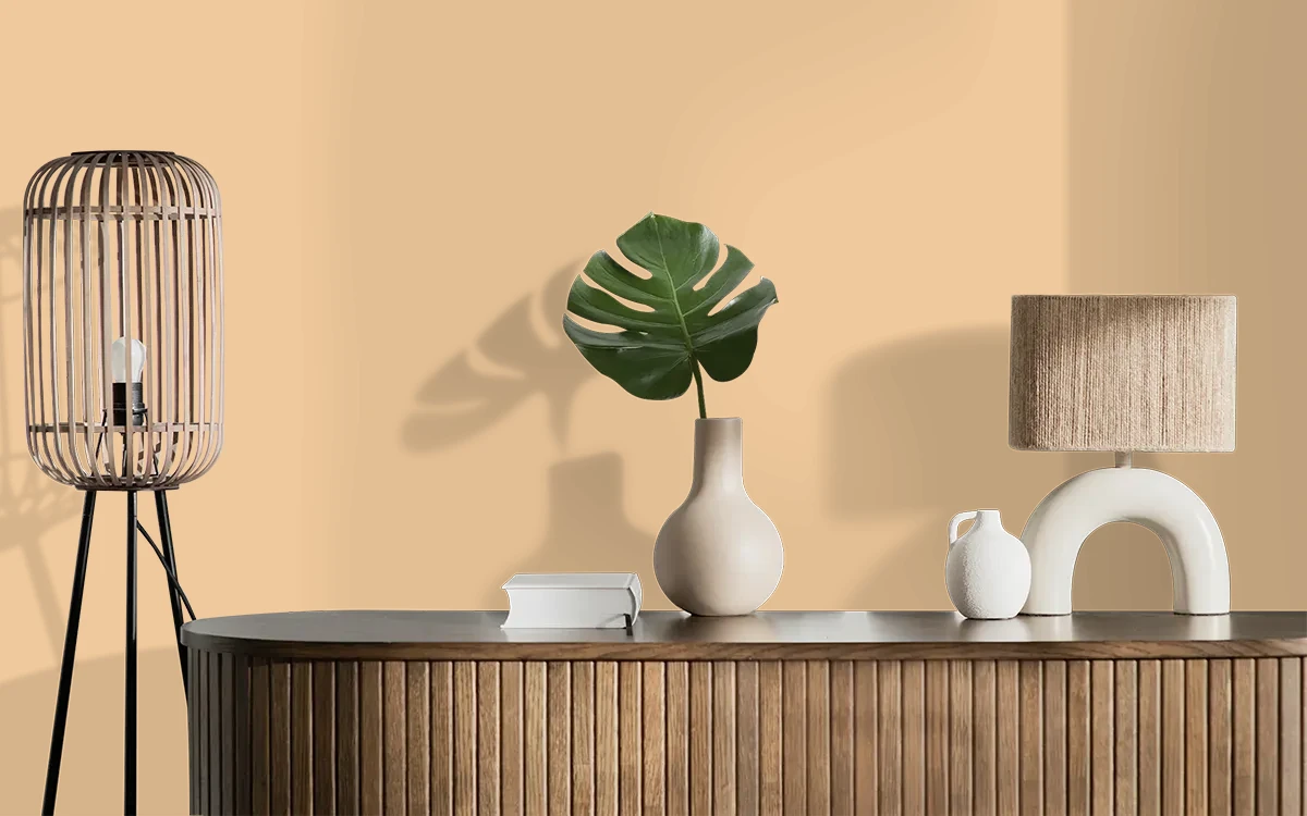 Nippon Paint's NUDE SHADES color on different wall surfaces.