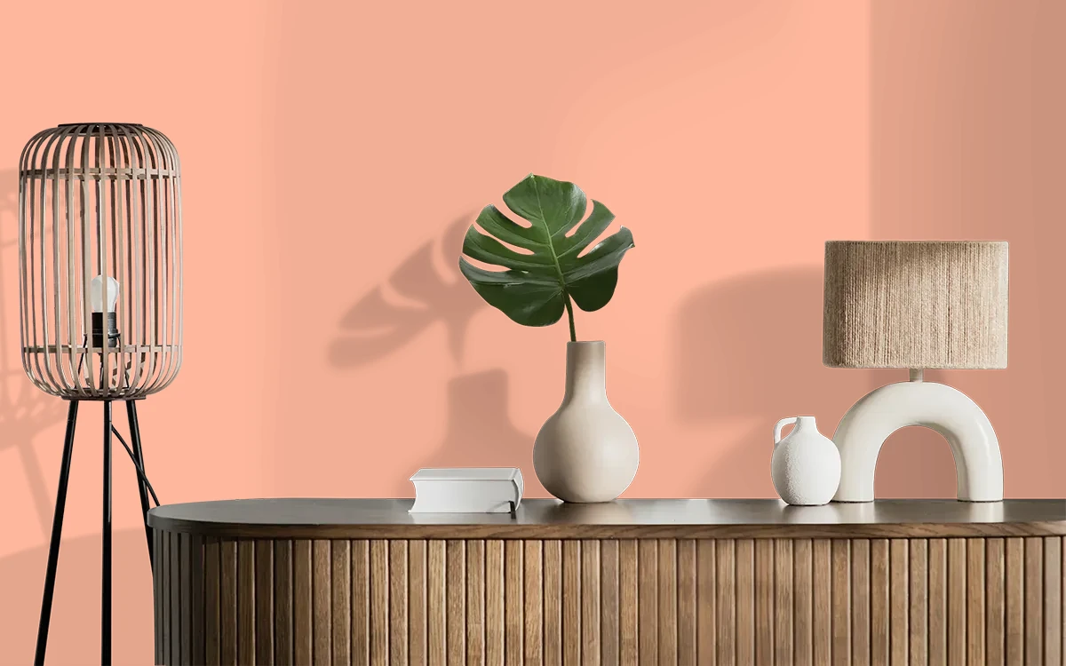 Nippon Paint's ORANGE MACARON color on different wall surfaces.