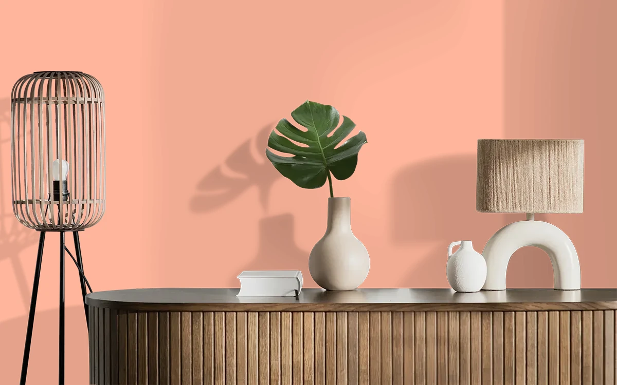 Nippon Paint's ORANGE MACARON color on different wall surfaces.