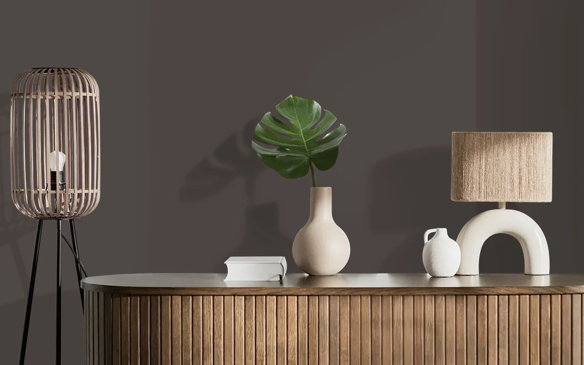 Nippon Paint's PAINTED FACES color on different wall surfaces.